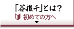 「谷根千」とは？　初めての方へ